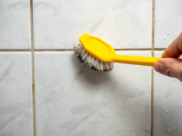  Kershaw, SC Mold Removal Pros