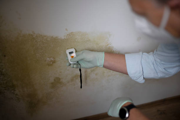 Best Mold Inspection  in Kershaw, SC