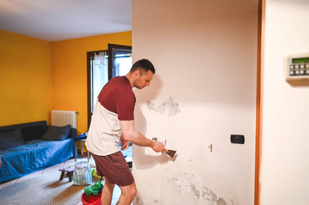 Best Mold Remediation  in Kershaw, SC
