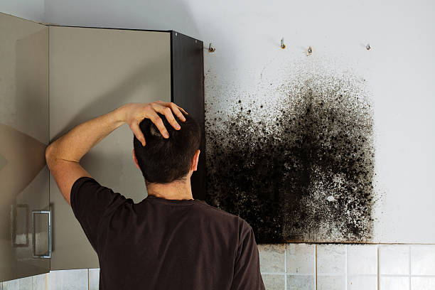 Best Mold Remediation Services  in Kershaw, SC